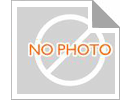 Fabriklieferant Topqualität Zz-Serie 6308z 6007z 6201z 6202z 6204z Tiefen-Groove-Kugellager für alle Industriezweige